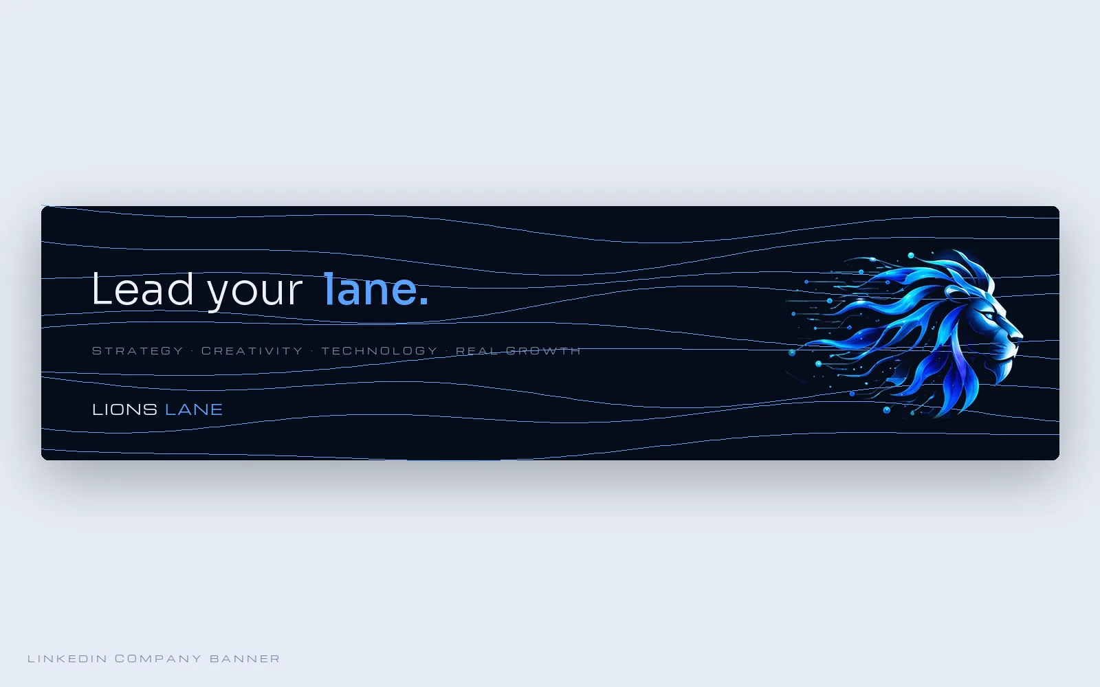 Lions Lane LinkedIn banner